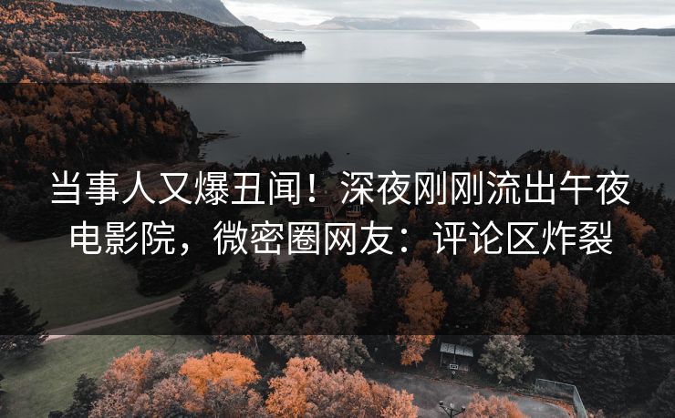 当事人又爆丑闻！深夜刚刚流出午夜电影院，微密圈网友：评论区炸裂
