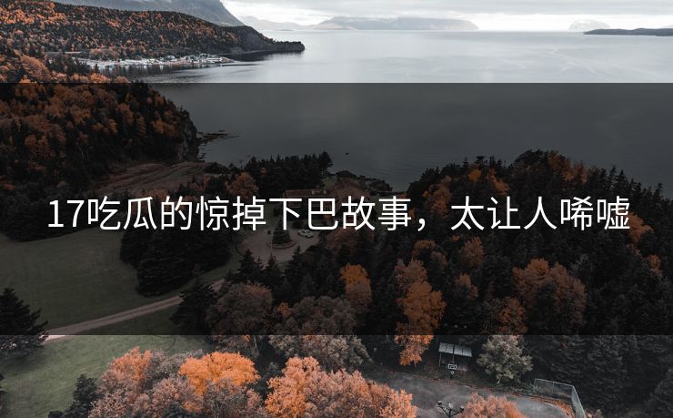 17吃瓜的惊掉下巴故事，太让人唏嘘
