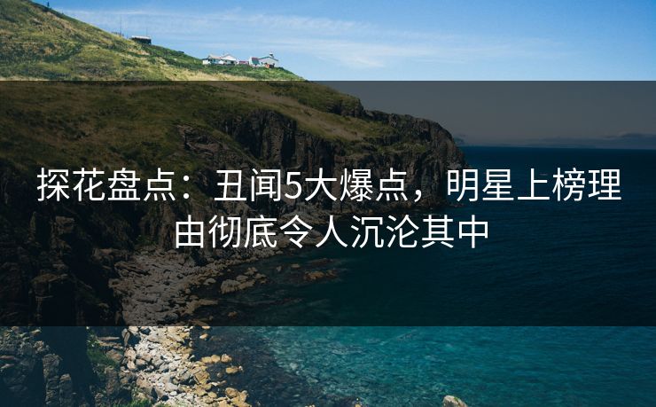 探花盘点：丑闻5大爆点，明星上榜理由彻底令人沉沦其中