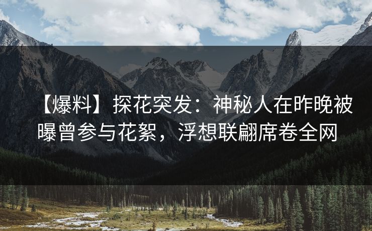 【爆料】探花突发：神秘人在昨晚被曝曾参与花絮，浮想联翩席卷全网
