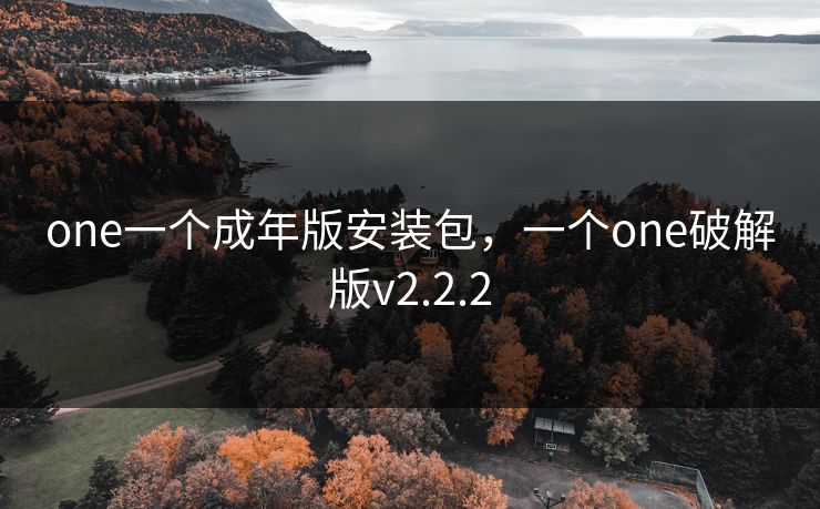 one一个成年版安装包，一个one破解版v2.2.2