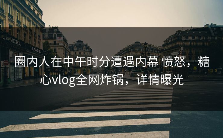 圈内人在中午时分遭遇内幕 愤怒,糖心vlog全网炸锅,详情曝光 圈内人在中午时分遭遇内幕 愤怒,糖心vlog全网炸锅,详情曝光